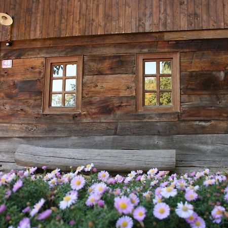 Oldhouse Knezovo Villa Sromlje Exterior photo